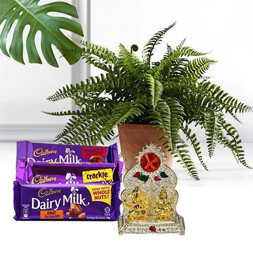 Luscious Chocolate Assortment with Indoor Plant N Mandap