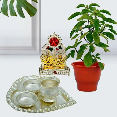 Beautiful Present of Holy Tulsi Plant N Puja Essentials
