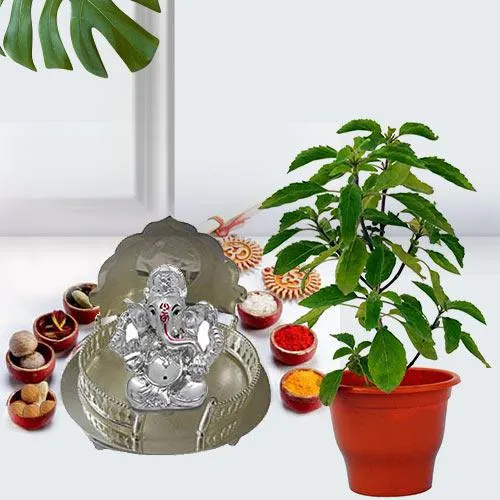 Divine Tulsi Planter with Puja Gift Set