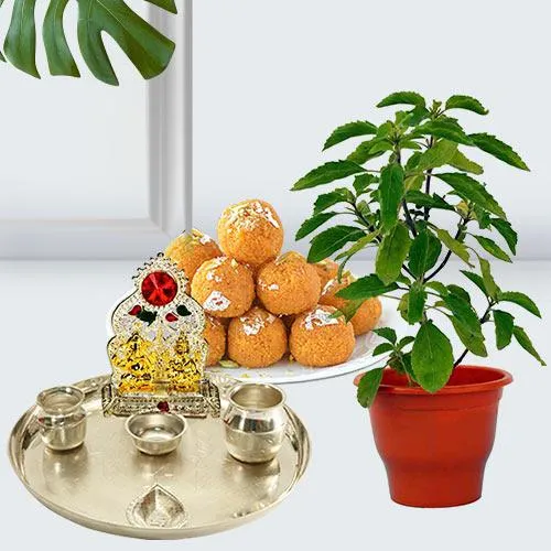 Heavenly Present of Holy Tulsi Plant with Devotional Gift