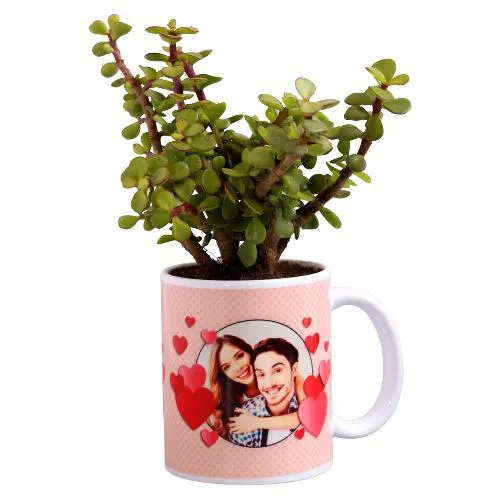Gifting Green Lucky Jade Plant in Customize Mug
