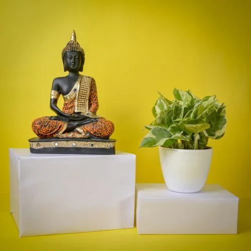 Good Fortune - Air Purifying Golden Pothos Plant n Buddha Idol Duo