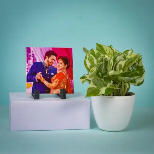 Air Purifying Golden Pothos Plant n Amazing Photo Table Clock Duo