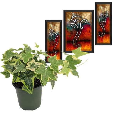 Air Purifying English Ivy Plant n Sleek Ganesha Modern Art