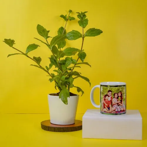 Alluring Combo of Vringraj Plant with Personalize Coffee Mug