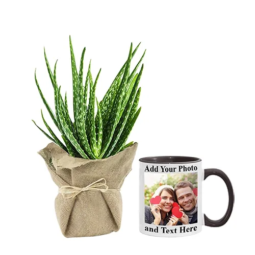 Impressive Gift Combo of Aloe Vera Plant N Customize Coffee Mug