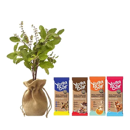 Eye-Catching Jute Wrapped Tulsi Plant N Yoga Bar Combo Gift