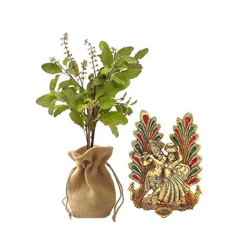 Classic Gift of Jute Wrapped Tulsi Plant with Holy Metal Radha Krishna Idol