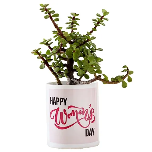 Splendid Jade Plant with Customize Coffee Mug Gift Set