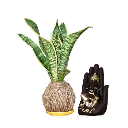 Gorgeous Pairing of Jute Wrapped Snake Plant with Handcrafted Palm Ganesha
