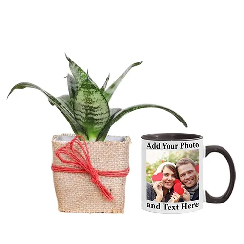 Fantastic Selection of Jute Wrapped Snake Plant N Customize Coffee Mug