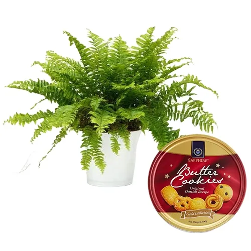 Elegant Selection of Fern Plant N Sapphire Butter Cookies