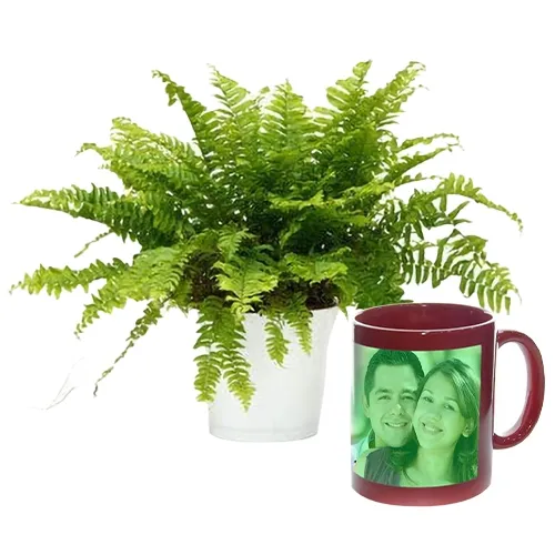 Splendid Pack of Fern Plant N Personalized Radium Mug