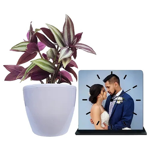 Keep Growing Inch Plant N Personalized Photo Table Clock Combo