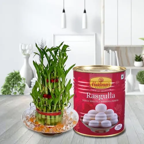 Order Haldirams Rasgulla with 2 Tier Lucky Bamboo Plant