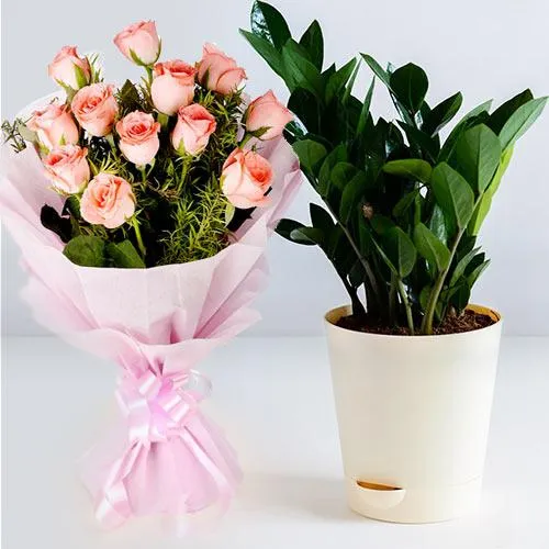 Aesthetic Zamia House Plant with Pink Roses Arrangement