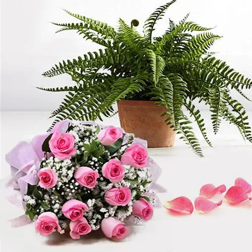 Premium Bostern Fern Air Purifier Plant with Pink Roses Bunch