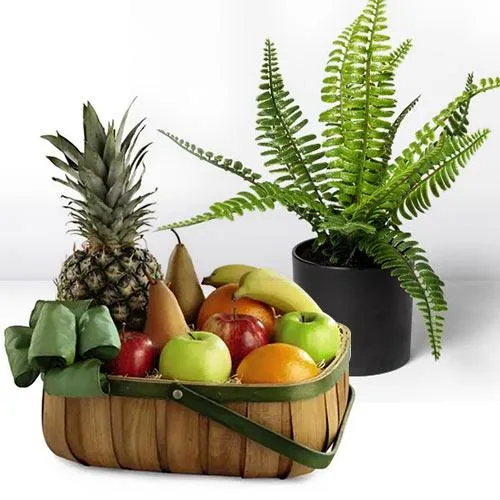 Delightful Fresh Fruits Basket with Potted Bostern Fern Plant