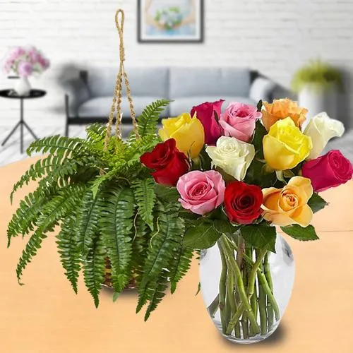 Good Luck Indoor Plant N Flowers Gift Duo