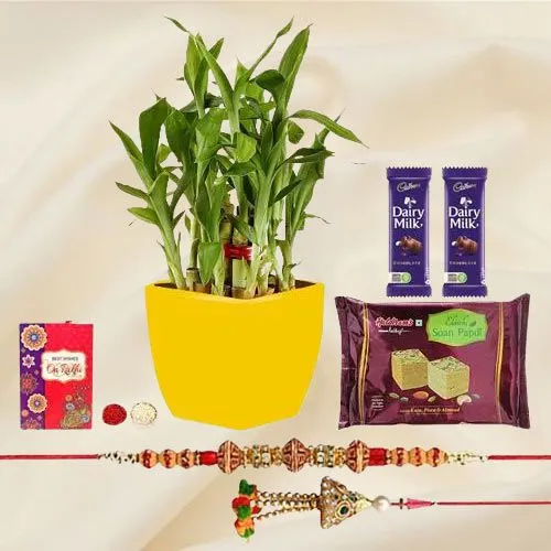 Auspicious Combo of Lumba Rakhi N 2 Tier Bamboo Plant