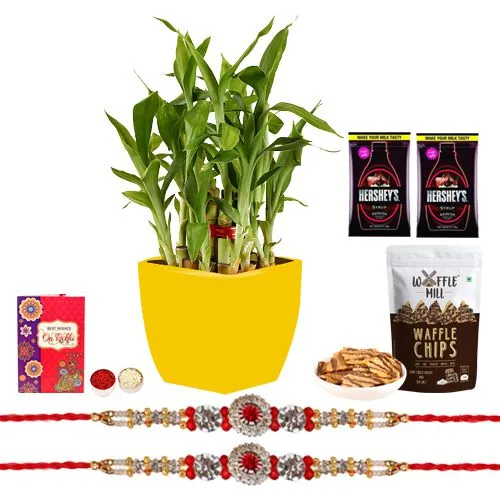 Captivating Collection of 2 Tier Bamboo Plant N Twin Rakhi