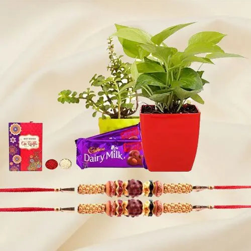 Classic Twining of Rakhi with Live Plants