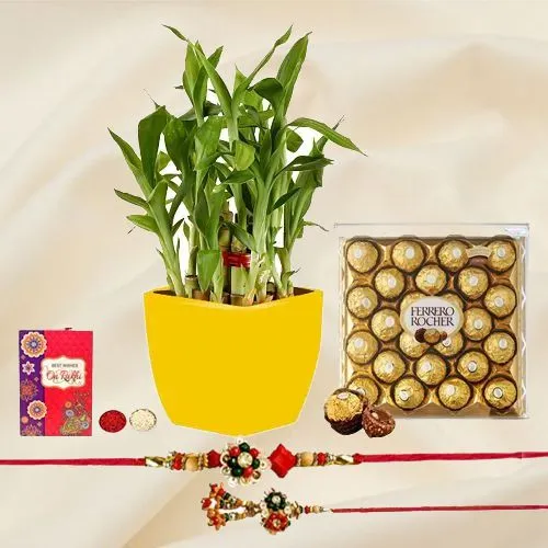 Lovely Combo of 2 Tier Bamboo Plant N Lumba Rakhi