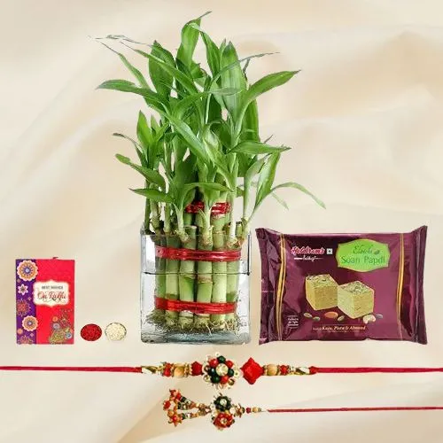 Pretty Lumba Rakhi N 2 Tier Bamboo Plant Combo