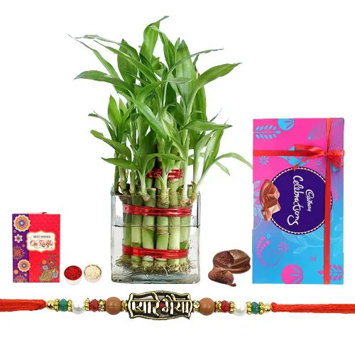 Rakhi Gift of 2 Tier Bamboo Plant for Pyare Bhaiya