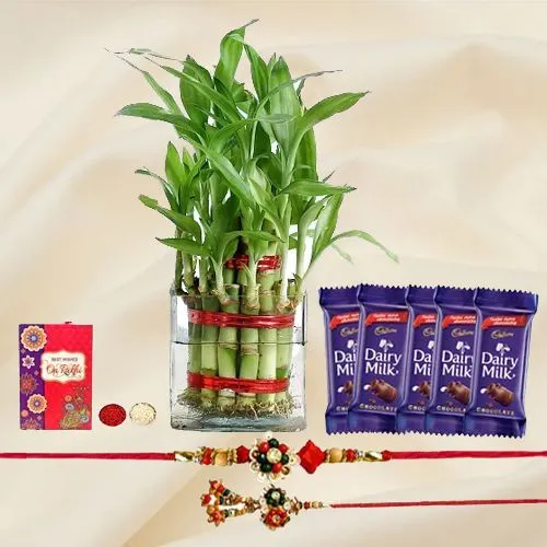 Outstanding Collection of Lumba Rakhi N 2 Tier Bamboo Plant