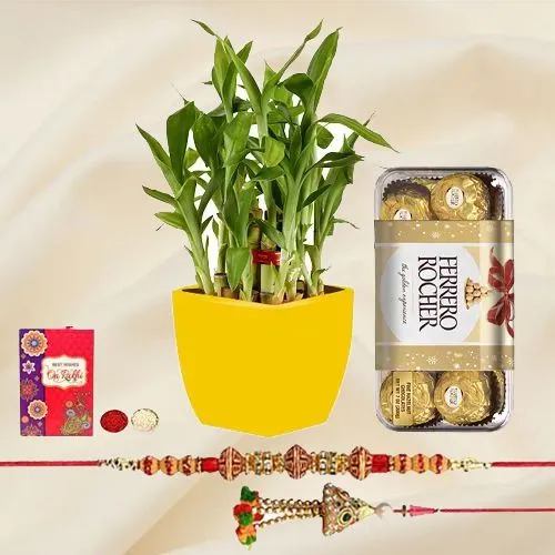 Superb Collection of 2 Tier Bamboo Plant N Lumba Rakhi