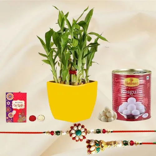 Amazing 2 Tier Bamboo Plant N Raja Rani Rakhi Combo