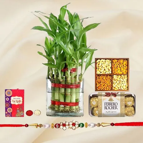 Enticing Gift of 2 Tier Bamboo Plant for Rakshabandhan