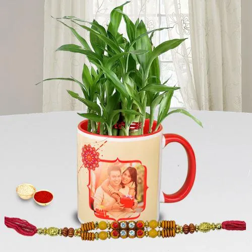 Personalized Coffee Mug with Lucky Bamboo Plant n Fancy Rakhi