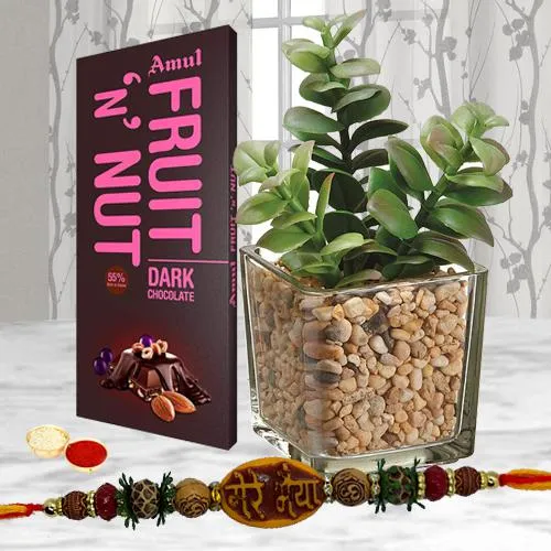 Jade Plant with Assorted Chocolate N Mere Bhaiya Rakhi