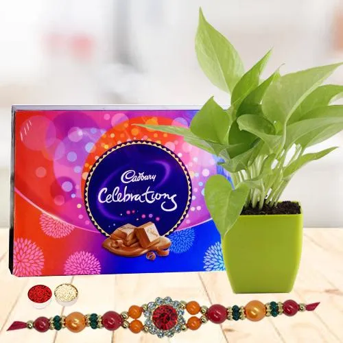 Send Rakshabandhan Wishes with a Money Plant, Cadbury Chocolates & a Rakhi
