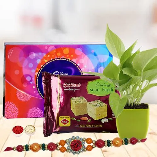 Send Rakshabandhan Gift of a Money Plant, Cadbury Chocolates, Haldiram Soan Papdi & a Rakhi