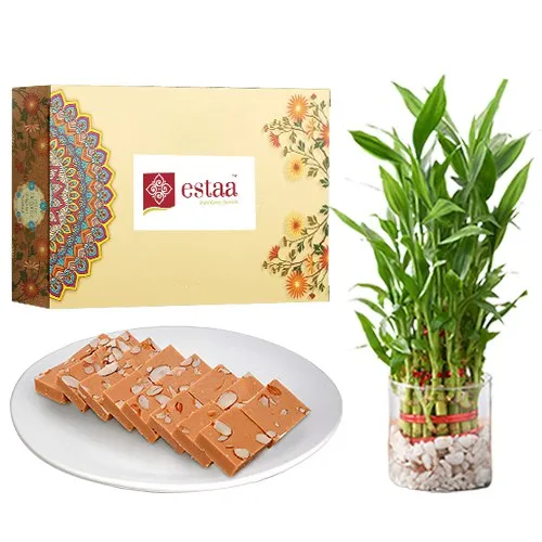Scrumptious Horlicks Burfi from Estaa Sweets with 3 Tier Lucky Bamboo Plant