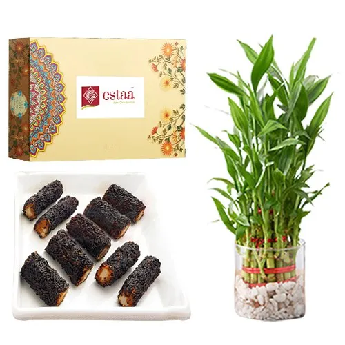 Classic Kaju Chocolate Roll from Estaa Sweets with 3 Tier Lucky Bamboo Plant	