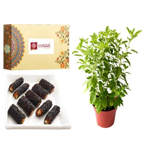 Delightful Kaju Chocolate Roll from Estaa Sweets with Tulsi Plant	
