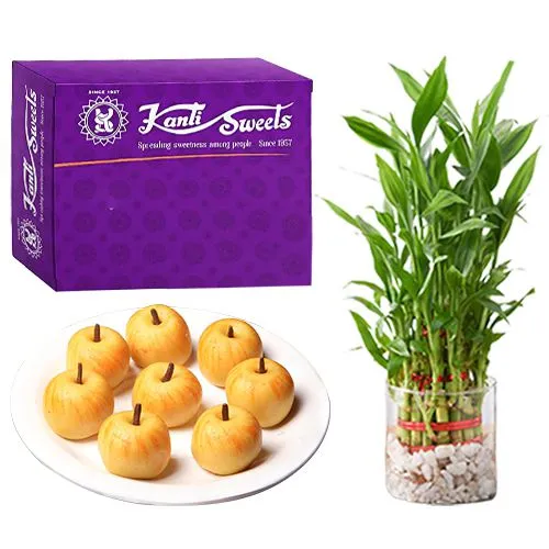 Gratifying Kaju Apple from Kanti Sweets with 3 Tier Lucky Bamboo Plant