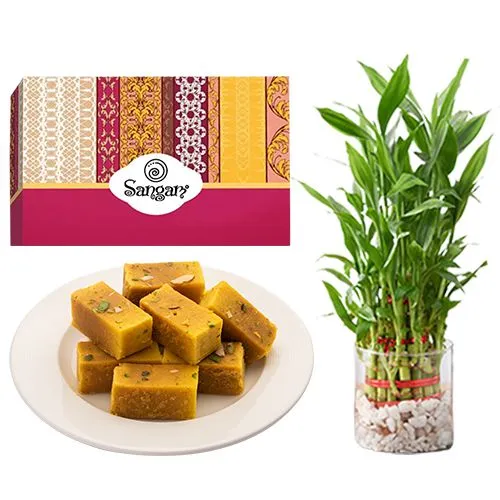 Smooth Mysore Pak from Sangam Sweets with 3 Tier Lucky Bamboo Plant	