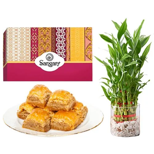 Highly-Enjoyable Desi Baklava from Sangam Sweets with 3 Tier Lucky Bamboo Plant