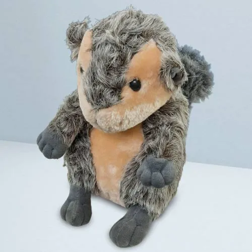 Buy Squirrel Soft Toy