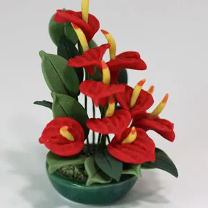 Anthurium to Bangalore