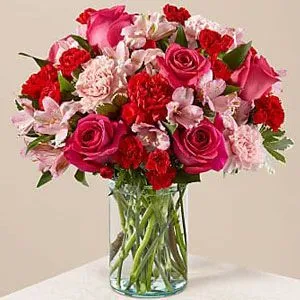 Carnations to Bangalore