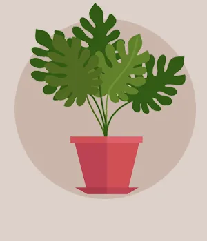 Diwali Eco Friendly Gifts to Bangalore