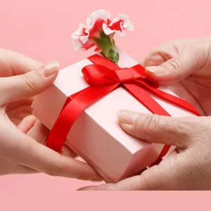 Same Day Gifts to Bangalore