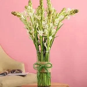 Tuberose to Bangalore