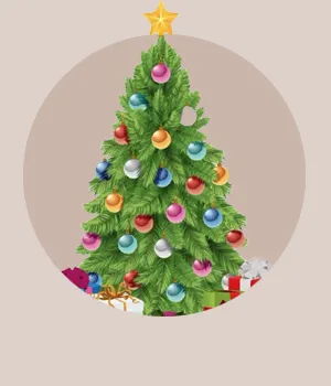 X-Mas Tree & Decor to Bangalore